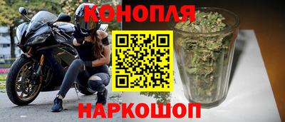 сатива Коммунар