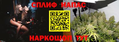 сатива Коммунар