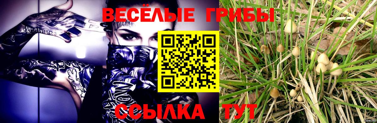 Псилоцибиновые грибы Psilocybine cubensis  Вход с VPN  что такое   Королёв 