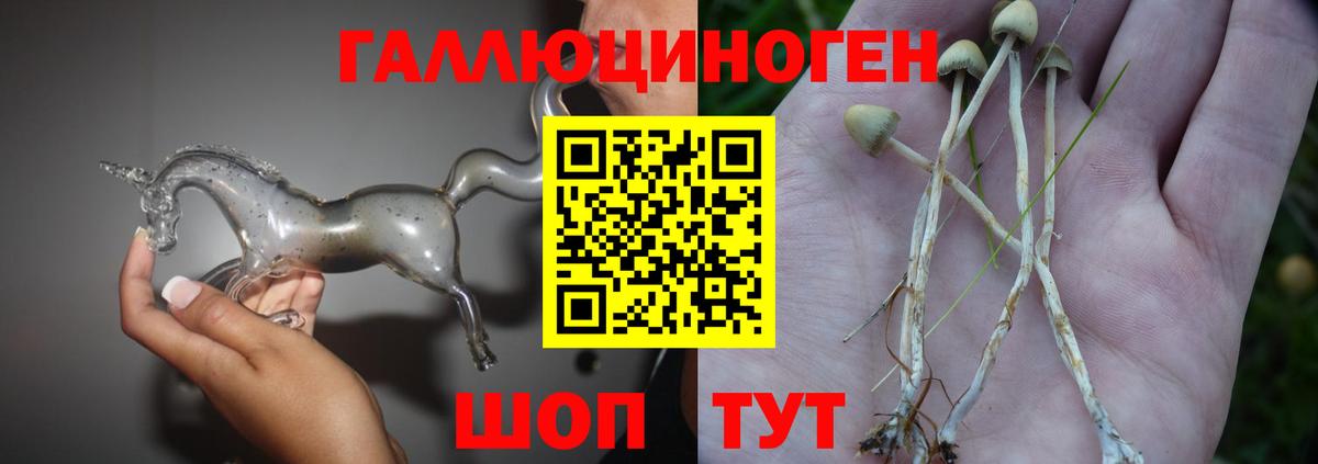 Галлюциногенные грибы GOLDEN TEACHER Королёв